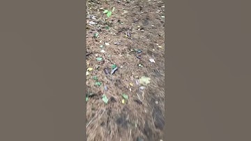 Ugly transitions pt 13