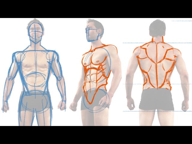 How To Draw The Male Body Oh So SIMPLE  YouTube