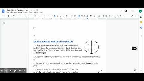 DL Antibiotic Resistance Lab   Google Docs 1