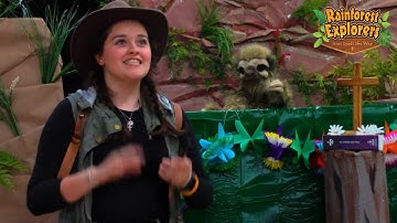 Lesson 3 Puppet Skit Opening Video | Rainforest Explorers Digital VBS