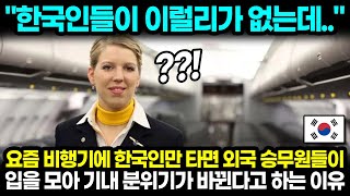 "한국인들이 이럴리가 없는데.." 요즘 비행기에 한국인만 타면 외국 승무원들이 입을 모아 기내 분위기가 바뀐다고 하는 이유 l 해외반응 한류