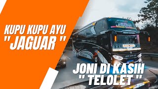 BERTEMU DENGAN BUS KUPU KUPU AYU ' JAGUAR ' JONI DI KASIH ' TELOLET ' TENAGA NAMBAH 100%