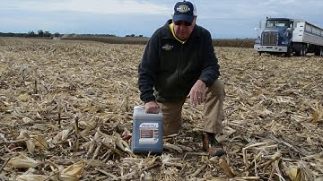 Residue and High Yield Corn