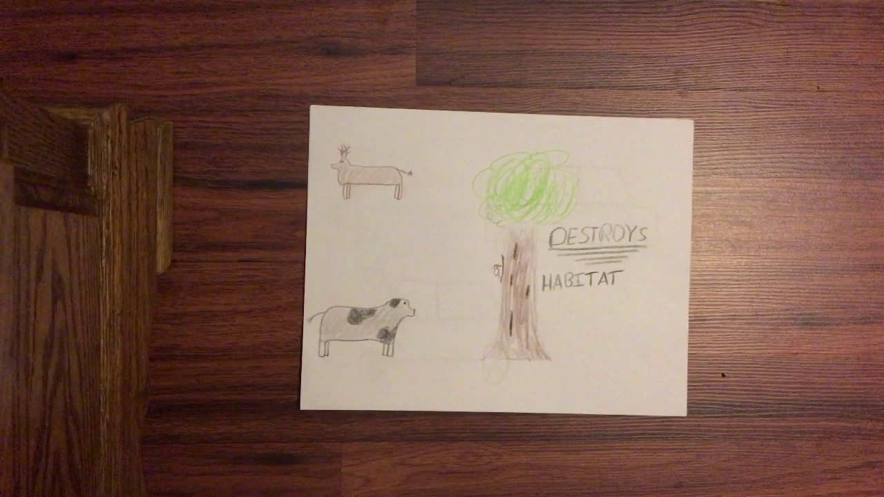 Causes And Effects Of Urban Sprawl YouTube