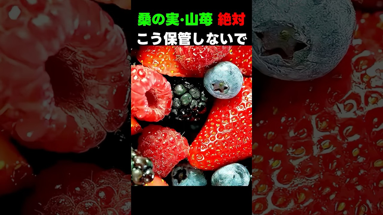桑の実·山苺絶対冷蔵庫に長く入れないで！これ一つで目の健康と肌が全然違います 🫐