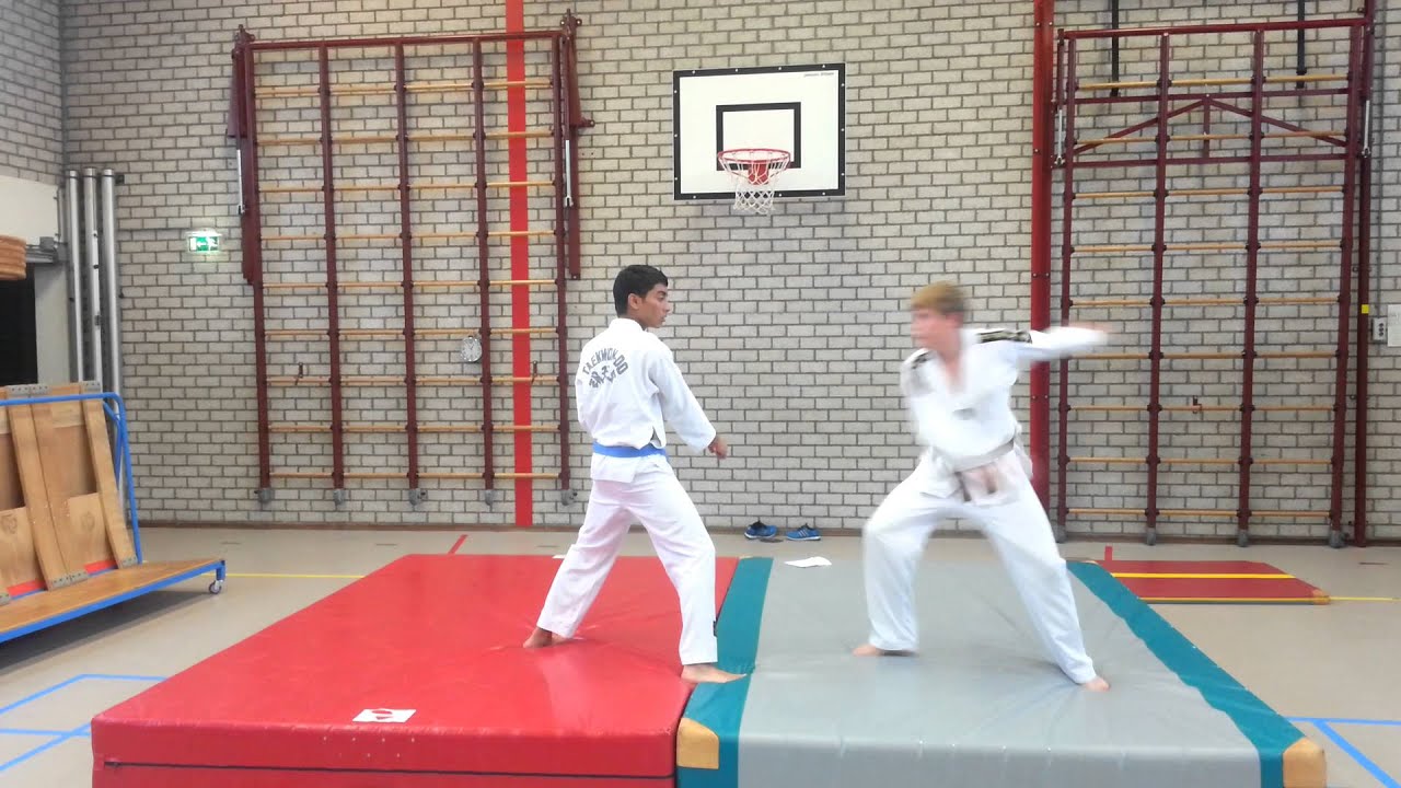 taekwondo gesprongen trap