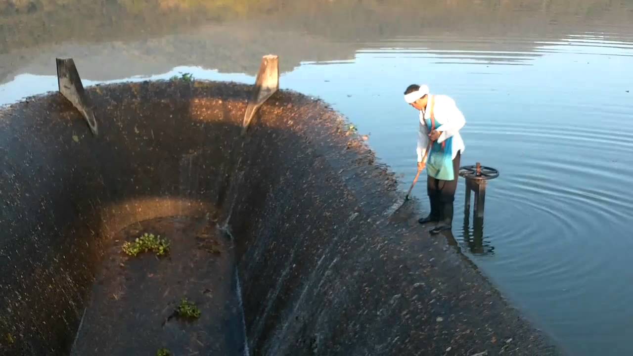 Lake Maintenance YouTube