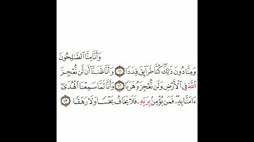 سورة الجن 3 القسم الثالث تكرار كيفي من ..  وأنا منا الصالحون ومنا .. إلى .. فلا يخاف بخسا ولا رهقا