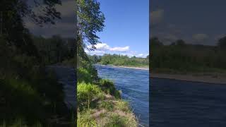 Quick Moving River (Springfield, OR)