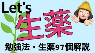 【生薬】登録販売者試験&薬学生におすすめ勉強法と解説