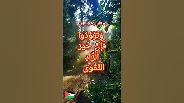 #قران_كريم #تلاوات_مميزة#راحة_نفسية #Quran_Kareem#اكسبلور #لايك