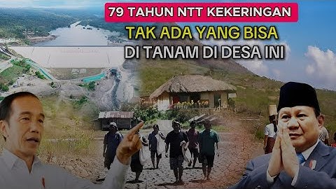 79 Tahun Kekeringan‼️ Kini NTT Diselamatkan Sorgum & Bendungan Jokowi