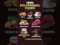 High Polyphenol Foods – For Antioxidant &amp; Anti-Inflammatory Power #polyphenols #antioxidants Mp3 Song