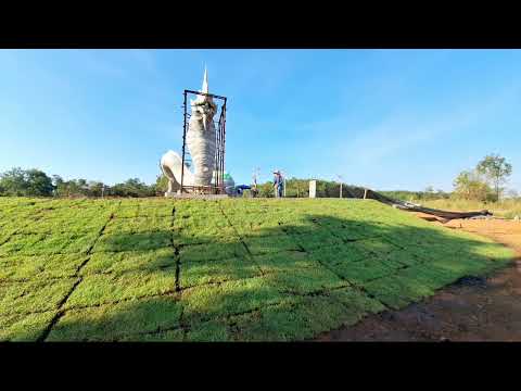 ผลสลากกินแบ่งรัฐบาล วันที่ 1 พย. 2567