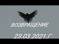 2.ч." ВОЗВРАЩЕНИЕ ГОЛУБЕЙ. - 1. УЖЕ ПОЗВОНИЛИ. 23.03.2021.Г.