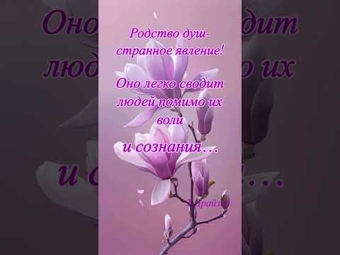 💕💕💕 #shortvideo #любовь #цитатыосмысле #цитатыпрожизнь #открытки