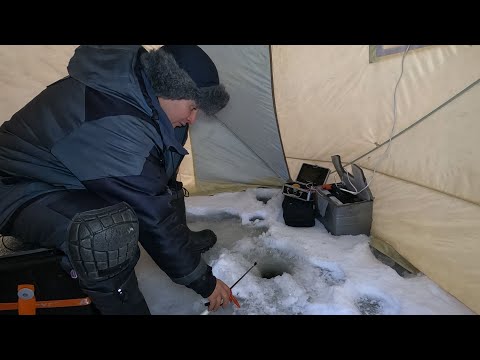 Видео: ЗИМНЯЯ РЫБАЛКА В ПАЛАТКЕ / WINTER FISHING IN A TENT