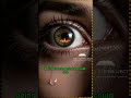 THE FIRST THING YOU WILL REALIZE AFTER DEATH… IT’S NOT WHAT YOU THINK
