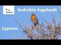 Zyperns bedrohte Vogelwelt