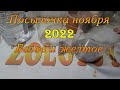 Посылочка ноября 2022  Белое и желтое