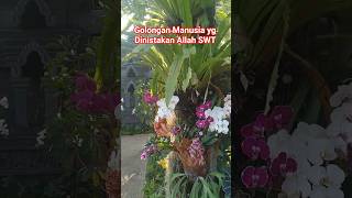 Download Lagu Semoga Kita Tidak termasuk golongan manusia Ini. #pendosahijrah #ngajibareng #quran #ngajibareng MP3 Download Lagu Semoga Kita Tidak termasuk golongan manusia Ini. #pendosahijrah #ngajibareng #quran #ngajibareng MP3
