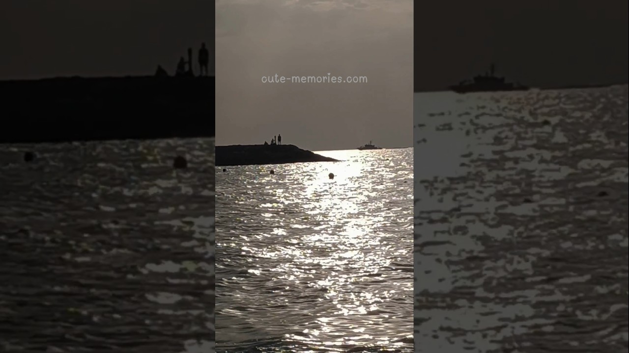 Jaan Se Guzarte Hain #dhurandhar #dhurandharmovie #sharjahbeach  #travel #nature #love #birds #beach