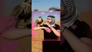 Sheikh Hamdan  Fazza Prince Of Dubai   fazzadubaifypforyou