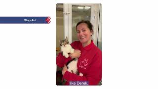 Giving Tuesday - 28 November 2023