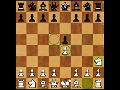 Regras básicas para iniciantes em xadrez