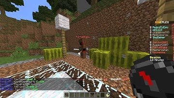 Mineplex Champions Bug