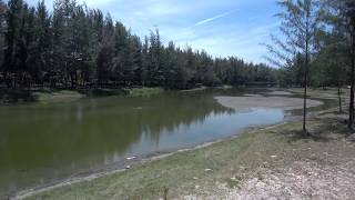 Miczone Team Building- Buổi Chiều