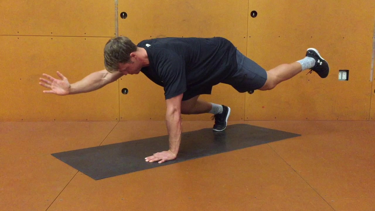 Bear Opposite Arm & Leg Raise - YouTube