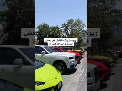 راتب الطيار