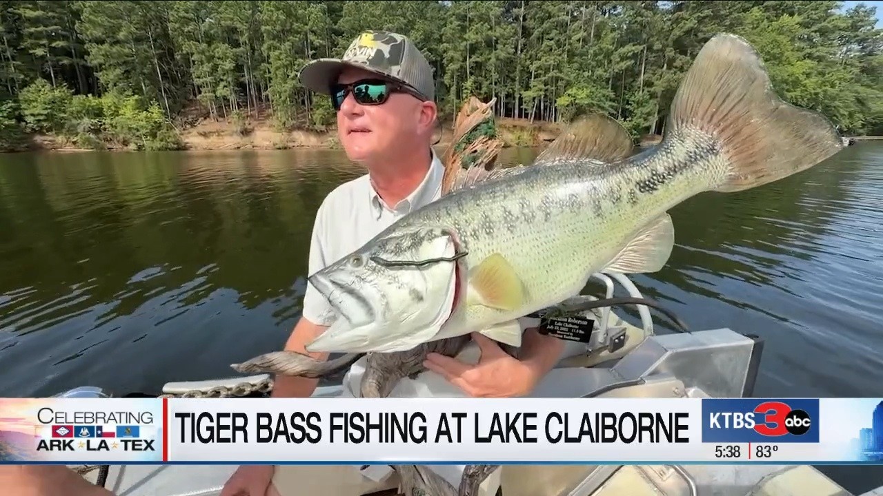 Anglers celebrate the plentiful tiger bass fishing at Lake Claiborne