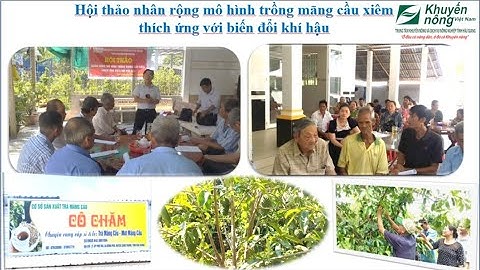 Châu Thành: Tổ chức hội thảo mô hình trồng mãng cầu xiêm thích ứng với biến đổi khí hậu.