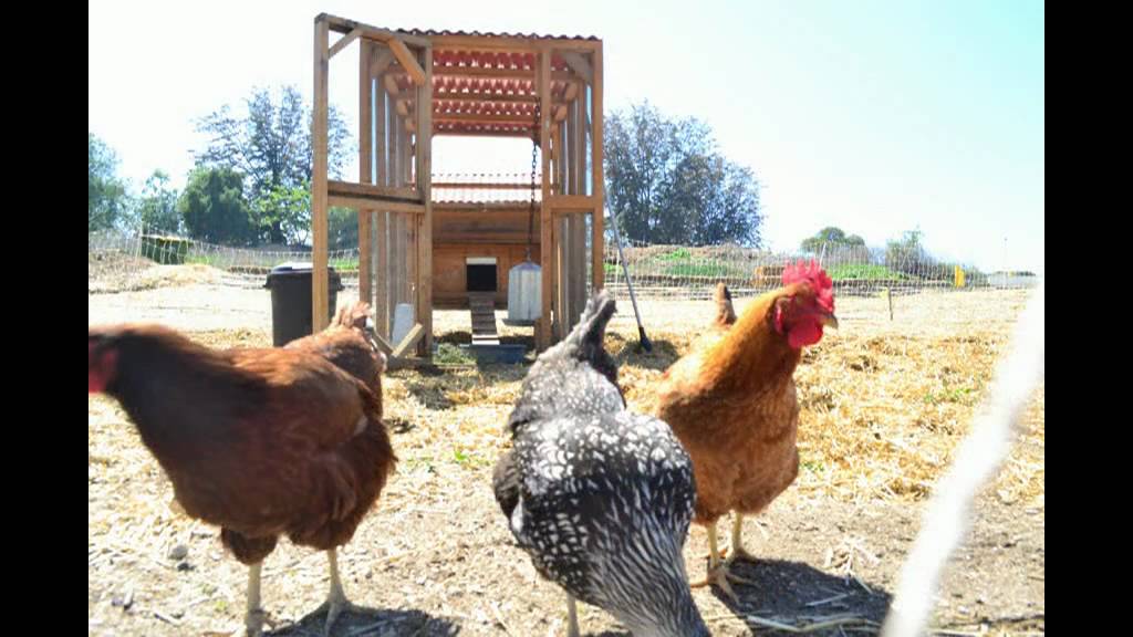 Farm Lot 59