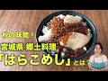 鮭といくらの親子飯！はらこめし【秋の味覚】宮城県郷土料理