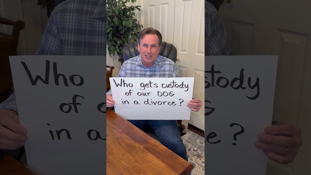 What happens to our pets in a divorce? 