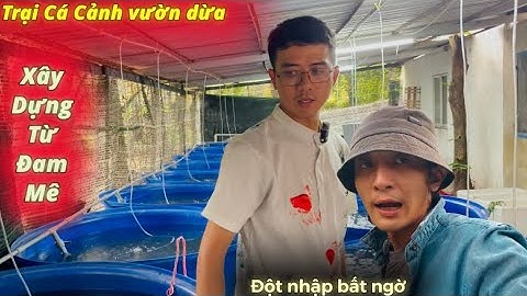 Thăm trại Cá săn mồi bí ẩn trong vườn dừa - Thái Salem vê lốc 