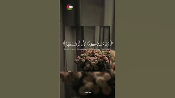 ✨️انما الدعاء عطاء ! 🍉#قرآن #اكسبلور #تلاوة_خاشعة #islamic #المصحف #فلسطين #غزة
