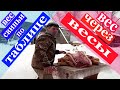 на сколько сходится живой вес свиньи по таблице  и вес мясом,сравниваем.