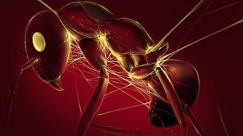 Kaam Bhaari - Vichaar (Official Video) | Hindi Rap 2020