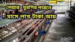 লেয়ার মুরগি পালনের মাসে লাখ টাকা আয় #লেয়ার মুরগি পাল #সাবধানতা #গুরুত্বপূর্ণ কিছু টিপস