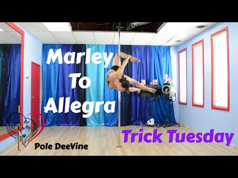 Pole Trick Tutorial - Marley to Allegra combo (master pole fitness)