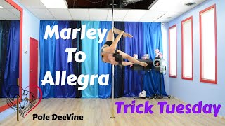 Pole Trick Tutorial - Marley to Allegra combo (master pole fitness)