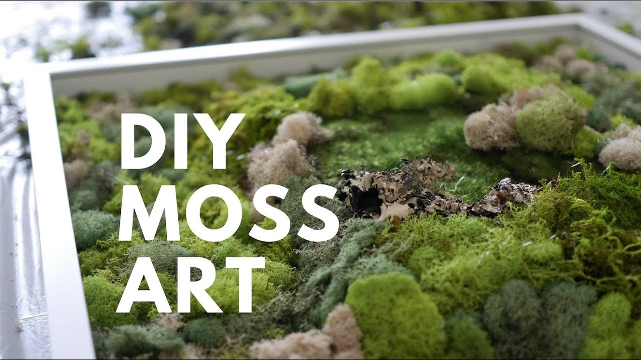 Royal Pillow Moss