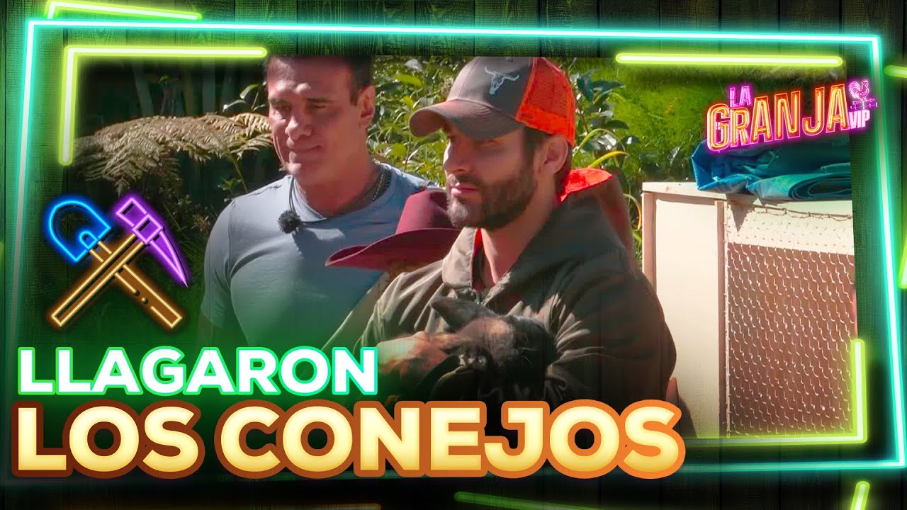 ¡Los conejos llegaron a La Granja VIP! Los granjeros se emocionaron mucho