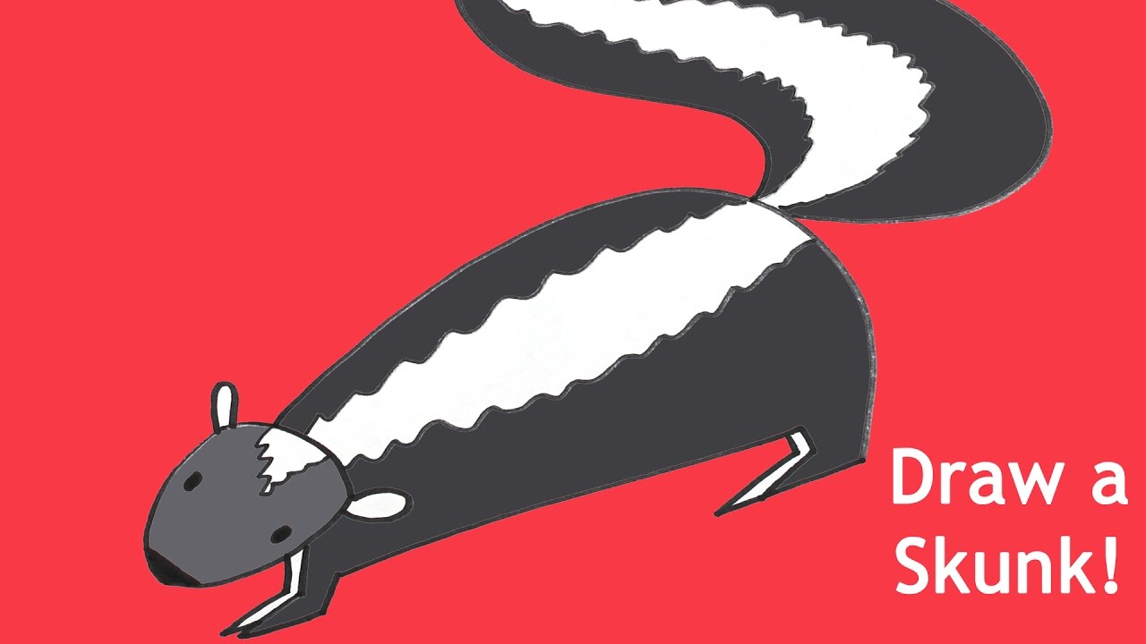 How to Draw a Skunk Cartoon for Beginners and Kids YouTube