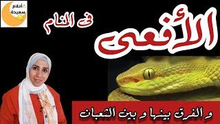 تفسير حلم الأفعى ، و الفرق بينها و بين الثعبان فى المنام / نهال مجدى