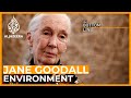 Jane Goodall: To fix the environment, fix poverty | The Bottom Line